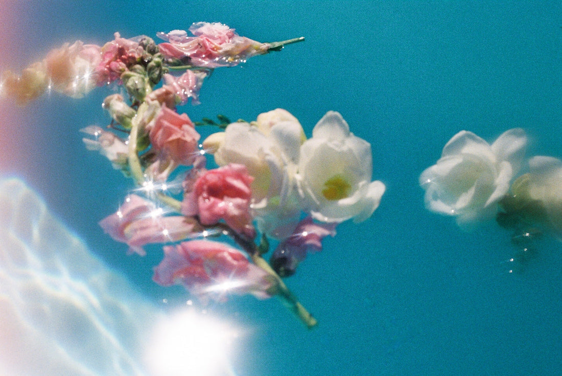 Pink and white flowers submerged underwater with light refracting through the surface