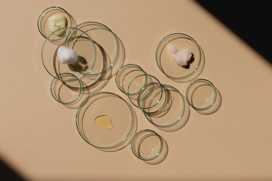 Glass petri dishes arranged on a beige surface, some containing small amounts of white cream and a drop of clear oil.